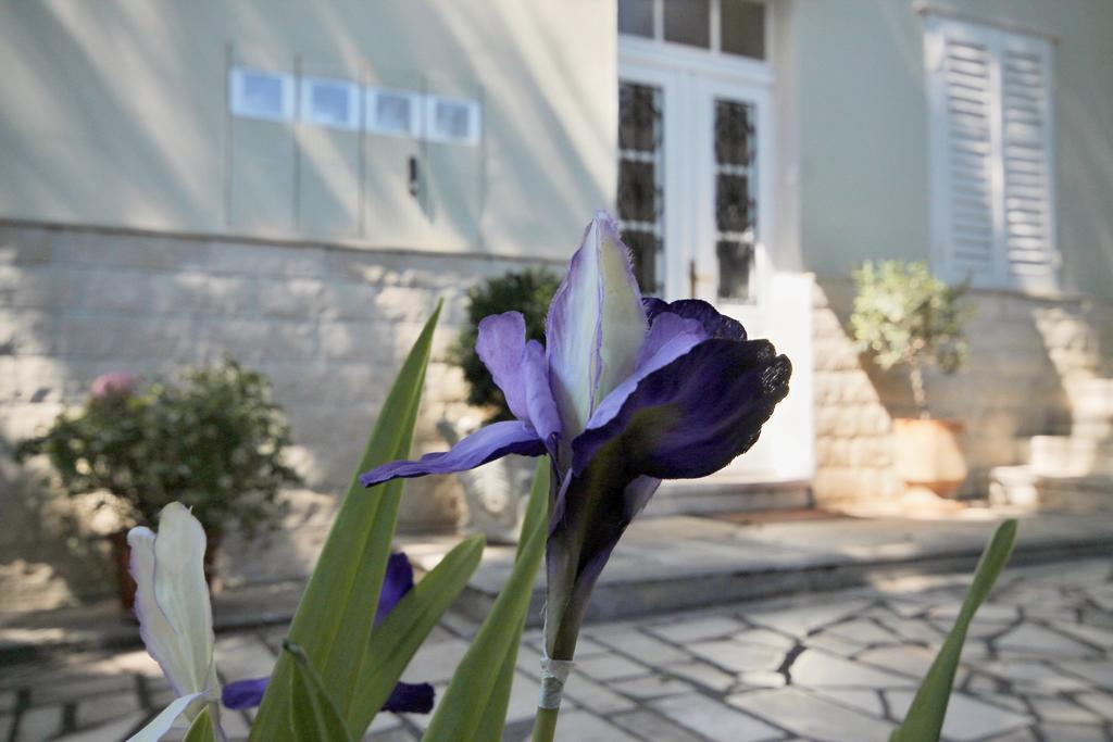 Villa Martinis Split Oda fotoğraf